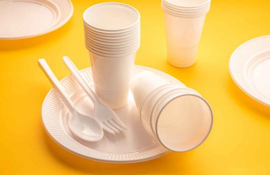 חד פעמי בסיטונאות2