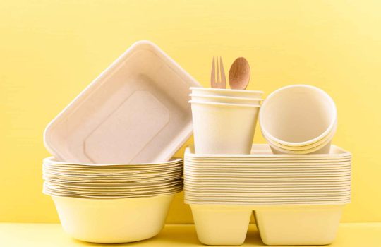 כלים חד פעמיים מתכלים2